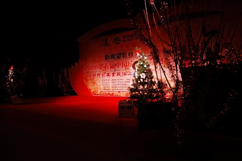 （今年圣诞节真冷，梅花节圣诞狂欢活动还得做好(图片，公司美女原创摄影） - 笨鸟的天空--品格飞扬 - 笨鸟的天空---品格飞扬
